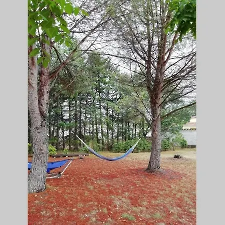 شقة 2 Pieces Sur Jardin En Pic Saint-loup *