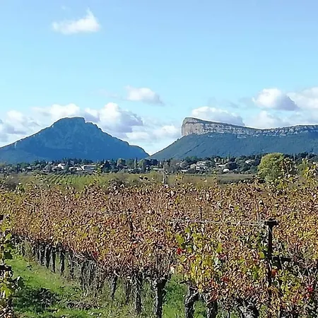 2 Pieces Sur Jardin En Pic Saint-loup * Valflaunes