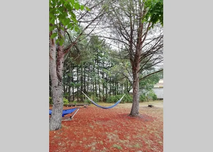 Apartment 2 Pieces Sur Jardin En Pic Saint-loup *