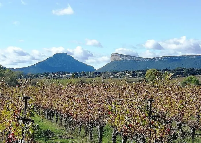 2 Pieces Sur Jardin En Pic Saint-loup * Valflaunes
